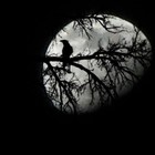 Picture for song 'Dream Noire (Rough Mix)' by artist 'Stephen.M (UK)'