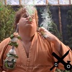 Picture for song '420' by artist 'Stoned Ninja Entertainment'