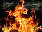 Picture for song 'UmRi Supak Muski ( by zolja) new' by artist 'STUDIO 57 ZOLJA'