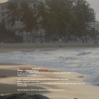 Picture for song 'Instrumental - Sleep By The Tree' by artist 'Sun Setter Rising'