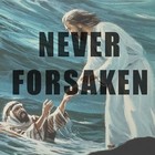 Picture for song 'Never Forsaken' by artist 'SuperTshim'