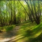 Picture for song 'Twist of Fate' by artist 'TACTlK'