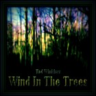Picture for song 'Wind In The Trees' by artist 'Tad Winklarz'