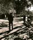Picture for song 'LIVING IN YOUR SHADOWS' by artist 'tamsnumber4'