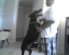 Picture for song 'Top DawG' by artist 'Texas Swangas Production'