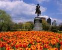 Picture for song 'Please Come to Boston (Cover)' by artist 'TexScratch'