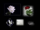 Picture for song 'Untitled (Tope's Song)' by artist 'ThaGenesis'