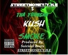 Picture for song 'KUSH-SMOKE' by artist 'Tha Youngan'