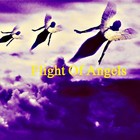 Picture for song 'Flight of Angels' by artist 'the definitive verse'