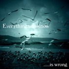 Picture for song 'Everything You Know Is Wrong' by artist 'The Early Revolution'