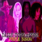 Picture for song 'PURPLE BANANA' by artist 'MORRIS THE FUNKASAURUS'