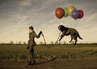 Picture for song 'ELWOOD_-_Hibbing_Minnisota_Blues' by artist 'The Grey Silkie'