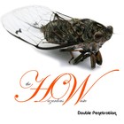 Picture for song '12__Who knock Amanda Knoks ?' by artist 'tHe Hazardous Waste'