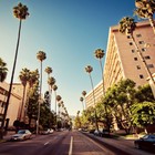 Picture for song 'Hollywood Hangover (FREE D/L)' by artist 'The High Stake'