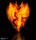 Picture for song 'What is Loved?' by artist 'THE ILLER'