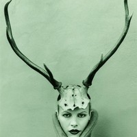 Picture for song 'Northern Hemisphere' by artist 'the lost highway'