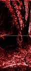 Picture for song 'w/antonio de braga-emultion' by artist 'the mass of the silence (US)'