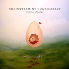 Picture for song 'Castles Made of Stone' by artist 'The Peppermint Confederacy'