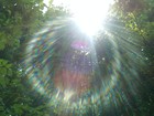 Picture for song 'FOREVER IN THE SUN' by artist 'The Pyramids Of Sound'
