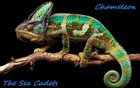 Picture for song 'Chameleon' by artist 'The Sea Cadets'