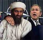 Picture for song 'Cure For The Common Osama 95209' by artist 'The Therapy Sisters'