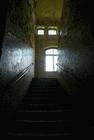 Picture for song 'Rantings from the asylum' by artist 'The Victim Of Fate'