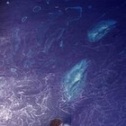Picture for song 'The Celebration of Anticipation' by artist 'The Well is Deep'