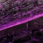 Picture for song 'The Differential' by artist 'The Well is Deep'