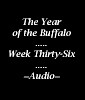 Picture for song 'Week Thirty-Six: Come What May' by artist 'The Year of the Buffalo (Volume III)'