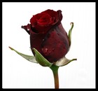 Picture for song 'SUMTHIN OUT OF A FLICK' by artist 'Time Is Money Dre Dinero'