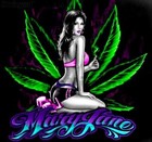 Picture for song 'HAIL Mary' by artist 'TRAP FASH'