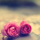 Picture for song 'To Fall in Love Again *R&B*' by artist 'TreyVMoore'