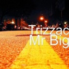 Picture for song 'Mr Big' by artist 'Trizzac'