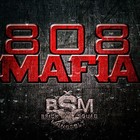 Picture for song 'Turnup Beatz 808 Mafia.mp3' by artist 'Turnup Beatz'