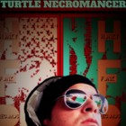 Picture for song 'BOOMtown' by artist 'Turtle Necromancer'