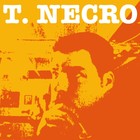 Picture for song 'Talent Vs. Swag' by artist 'Turtle Necromancer'