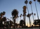 Picture for song 'California Roots' by artist 'underfire gang'
