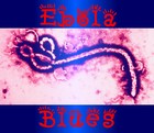 Picture for song 'Ebola Blues' by artist 'Velkro Merkin'