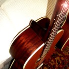 Picture for song 'First Steps in Open G Part 2' by artist 'Viking Blues'