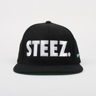 Picture for song 'Nice styl&#101; (Steez)' by artist 'V-Kingz Beats'