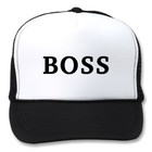 Picture for song 'The Boss' by artist 'V-Kingz Beats'