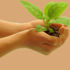 Picture for song 'LIFE MORE ABUNDANTLY' by artist 'Wayne Pascall Acappella'