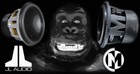 Picture for song '(SOLD)***Bumpin My System (Young C on The Hook)' by artist 'Weatherman Beatz'