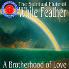 Picture for song 'The Forest' by artist 'White Feather'