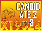Picture for song 'Candidate 2 Point 8' by artist 'X19524'