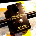 Picture for song 'Meathead Black n' Gold, Les Paul - Slayer' by artist 'Xander Farran'