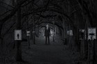 Picture for song 'Lost' by artist 'XmafaX'