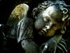 Picture for song 'Anti Social' by artist 'yesterdaysdream'