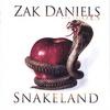 Picture for song 'SILICONE' by artist 'ZAK DANIELS And The ONE EYED SNAKES'