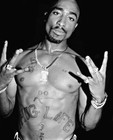 Picture for song '2PAC FOR MY THUGS n*** S BUY 1 GET 2 FREE!!!!!!' by artist 'ZontelloOnDaBeat'